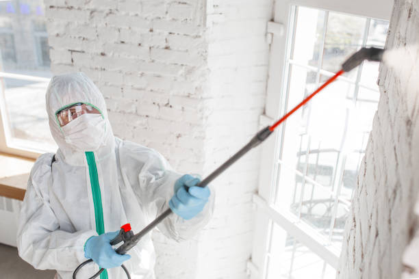 Best Mold Removal for HVAC Installations  in Keeseville, NY