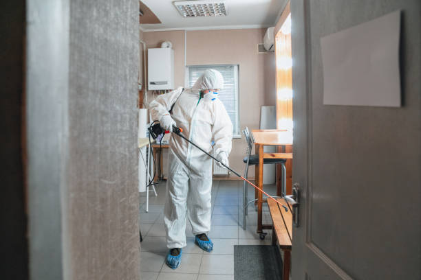 Best Comprehensive Air Testing for Mold Contaminants  in Keeseville, NY