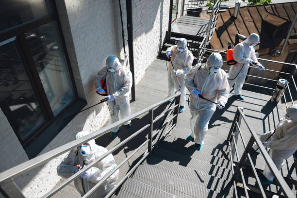 Forensic Mold Investigation in Keeseville, NY