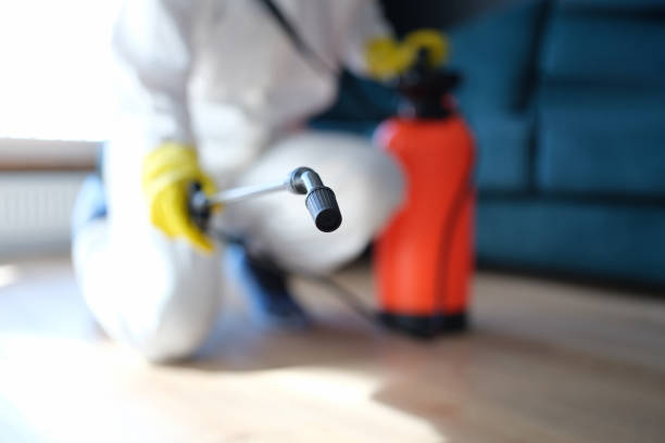 Biohazard Mold Removal in Keeseville, NY
