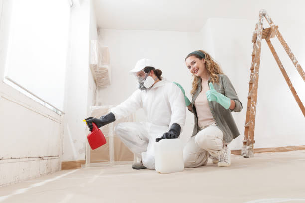 Best Emergency Mold Remediation  in Keeseville, NY